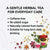 Thai Herbal Tea Sappanwood + 7 Herbs