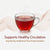 Thai Herbal Tea Sappanwood + 7 Herbs 